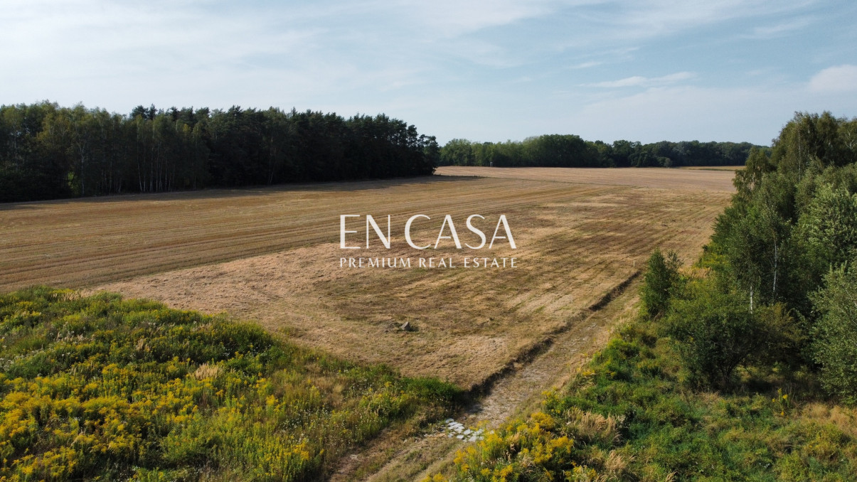 Plot Sale Wola Krakowiańska 10